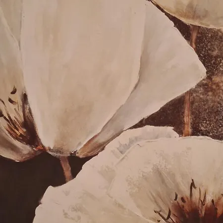 Apartment Haus Schoepf