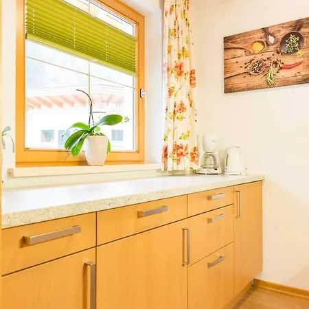 Apartment Haus Schoepf *